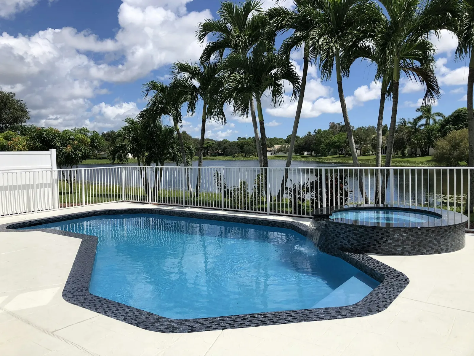 Freshly resurfaced backyard pool and spa with dark waterline tile under palm trees in Escondido